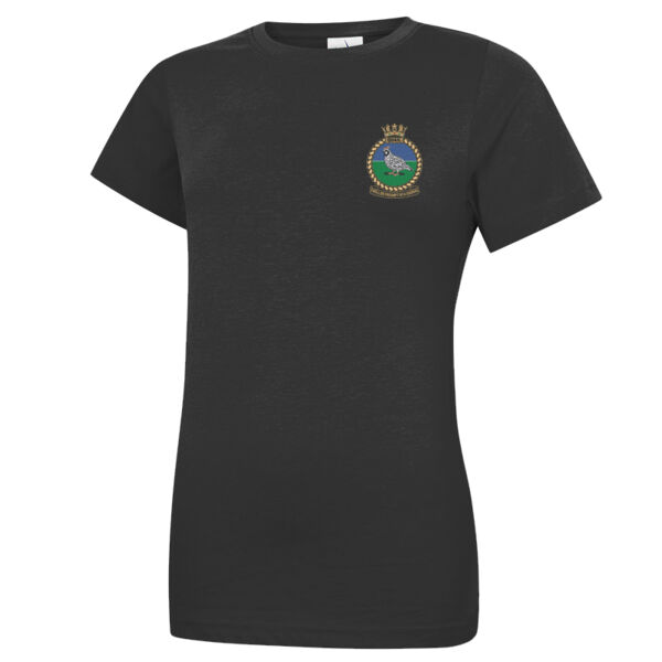 ISC Ladies T-Shirt Thumbnail